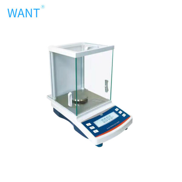 ELECTRONIC BALANCE