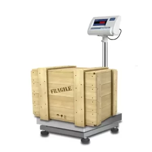 FLOOR SCALE BALANCE