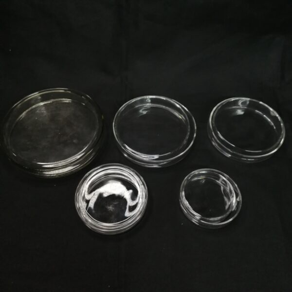 PETRIDISH GLASS - Image 2