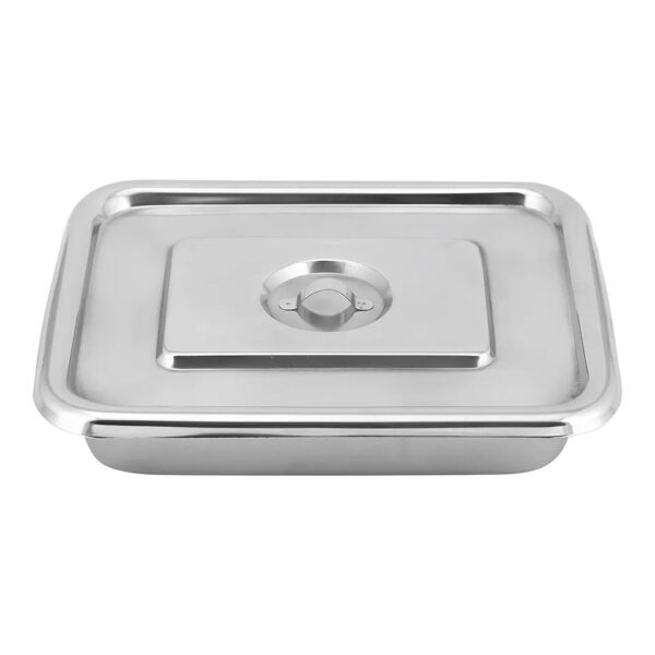 INSTRUMENT TRAY STAINLESS STEEL ( 10X8, 11X7 )