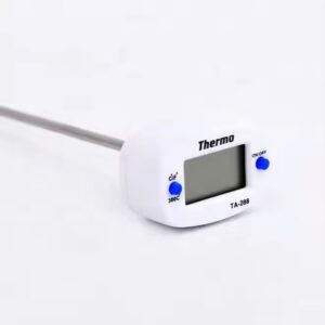 LOLLIPOP THERMOMETER