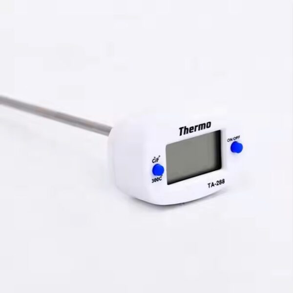 LOLLIPOP THERMOMETER