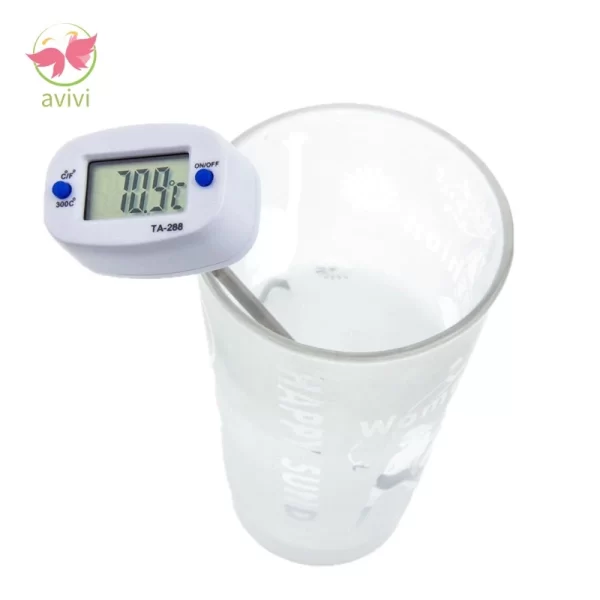 ELECTRONIC THERMOMETER
