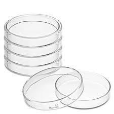 PETRIDISH GLASS