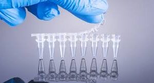 PCR TUBE 8-STRIP TUBE WITH LID STERILE 200PCS/BAG - Image 2