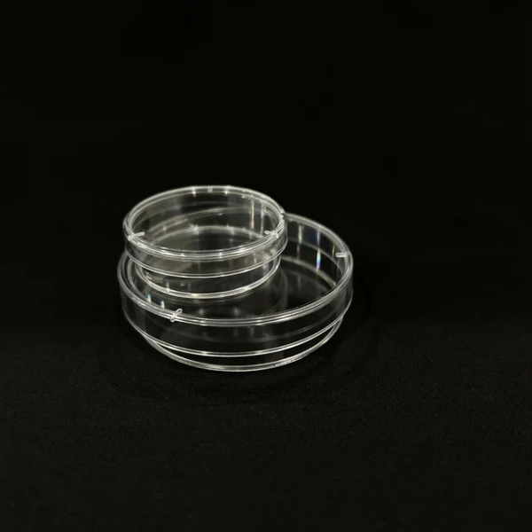 PETRIDISH GLASS - Image 3