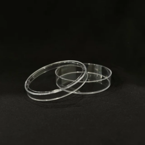 PETRIDISH GLASS - Image 2