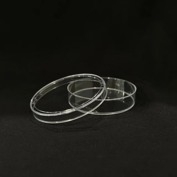 PETRIDISH GLASS - Image 2