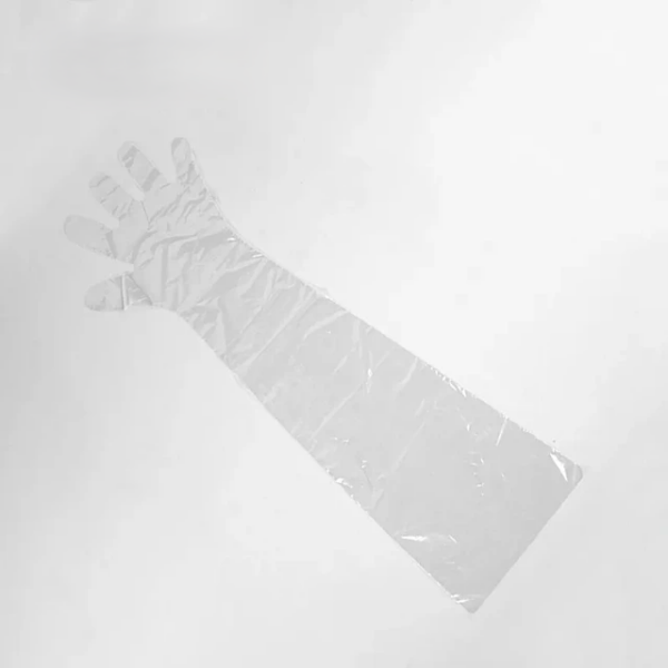 LONG ARM GLOVES / COLOR: WHITE