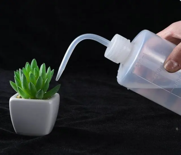WASH BOTTLE PLASTIC
